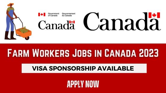 Farm Workers Jobs in Canada 2024