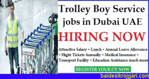 Trolley Boy Career | Excellent Opportunity for 2023