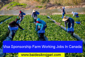 Farm Working Jobs