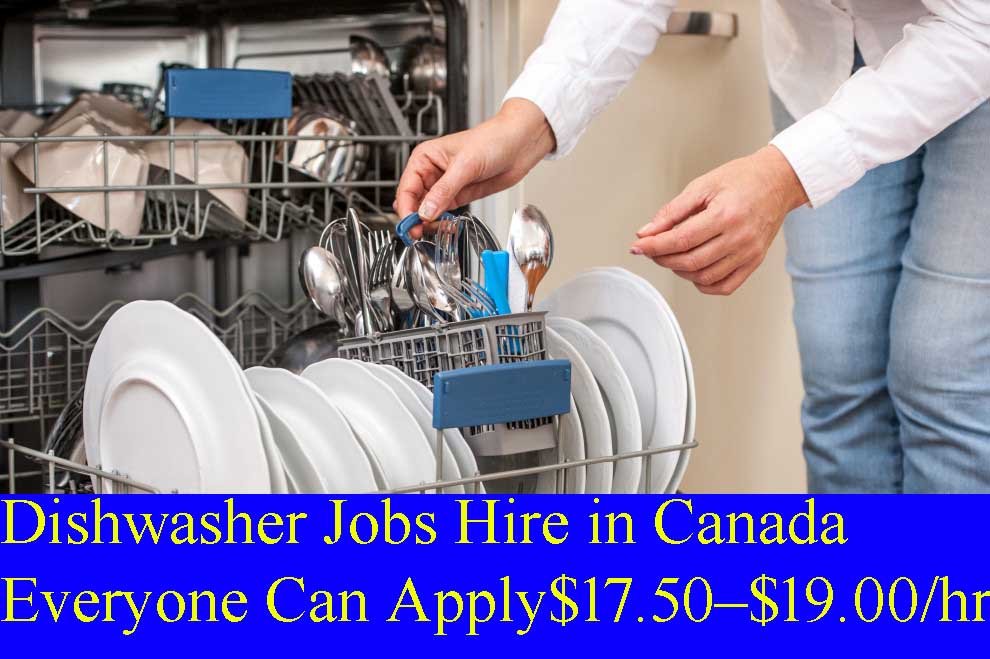 Global Job Vacancy Build your career with us